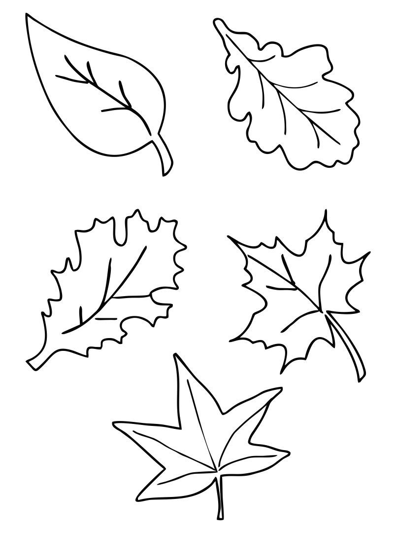 Fall Leaf Printables - Printable Party Favors inside Free Printable Templates Fall Leaves