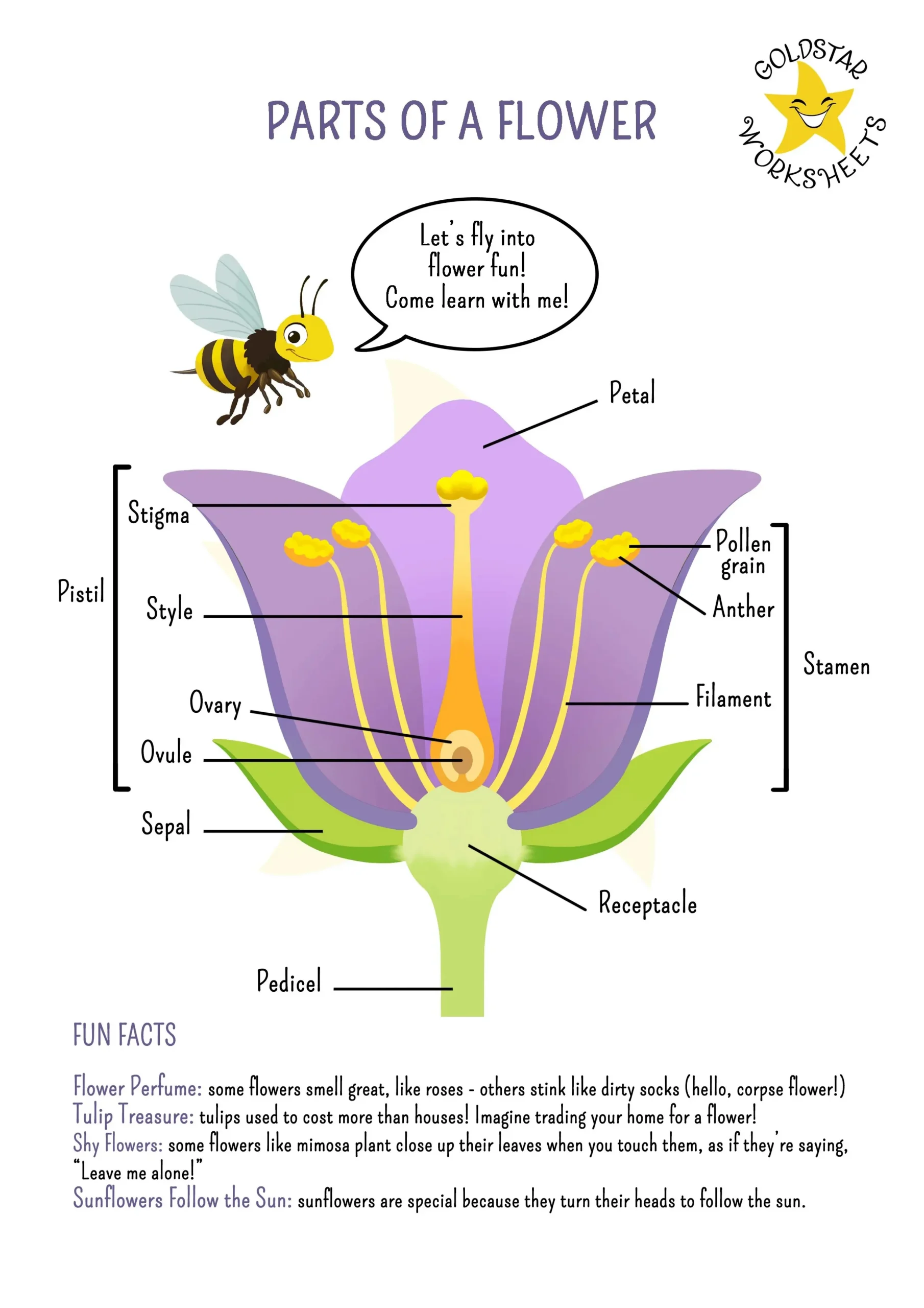 Parts Of A Flower Worksheet For Grades 2-4 – Fun And Educational! with regard to Parts of a Flower Printable