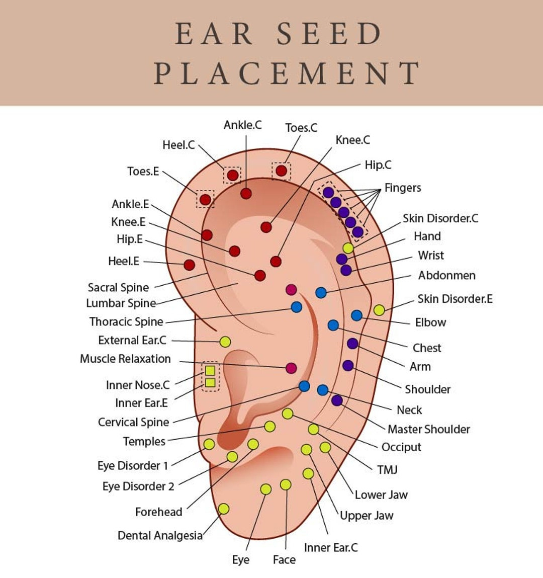 Printable Ear Seed Placement Chart | Comprehensive Acupuncture inside Printable Ear Seed Placement Chart