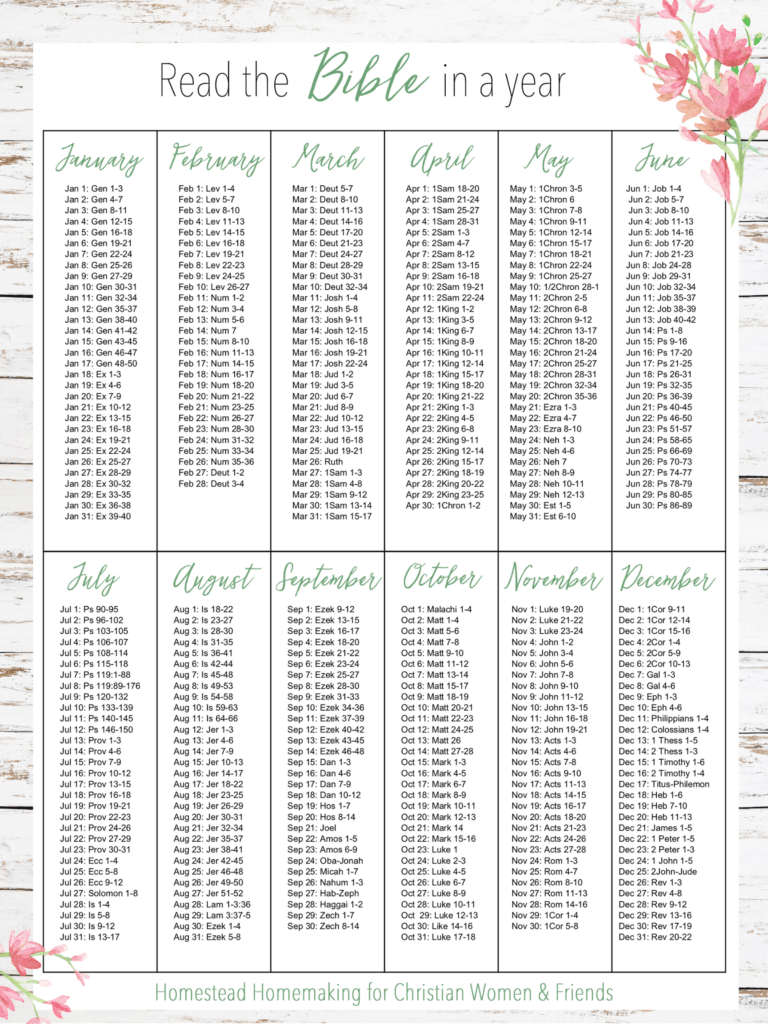 Read The Bible In A Year | Homestead Homemaking - Amy K Fewell with regard to Free Printable Read The Bible In A Year Plan