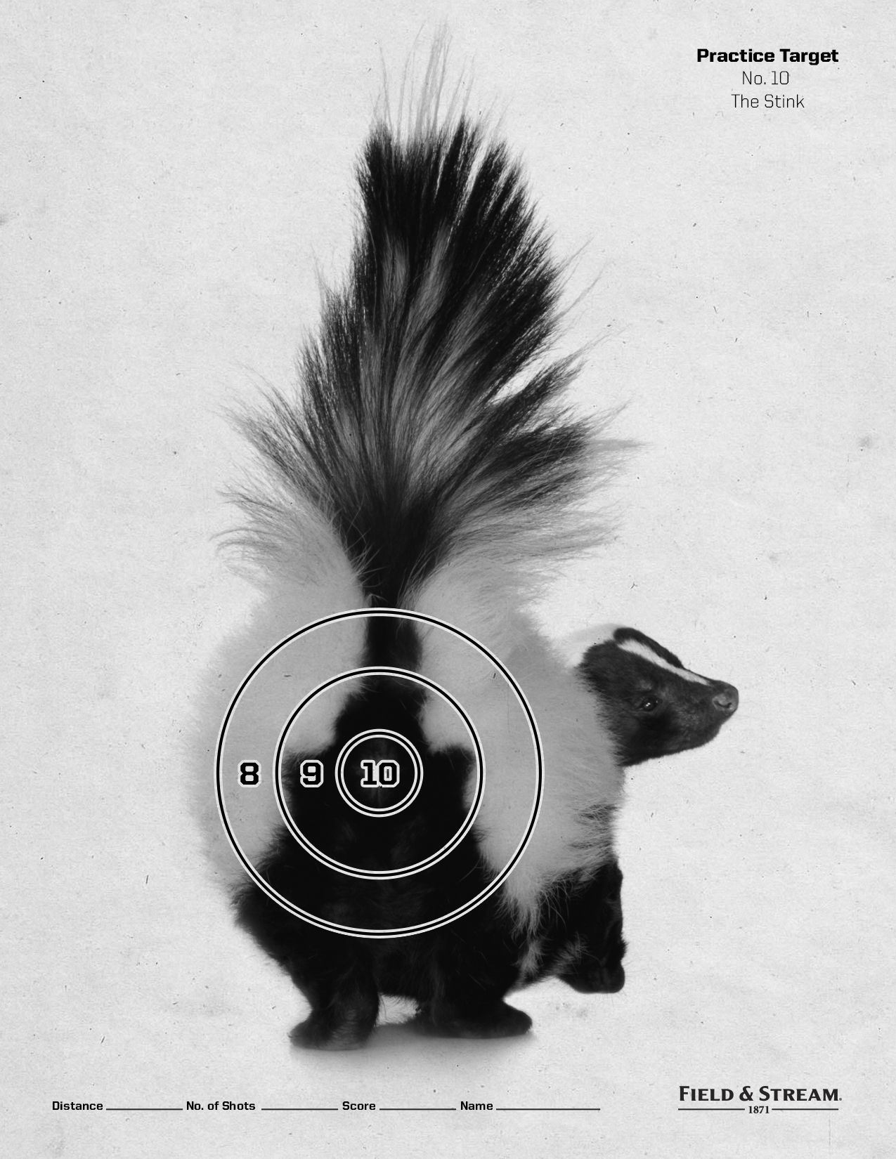 Shooting with regard to Funny Targets For Shooting Printable