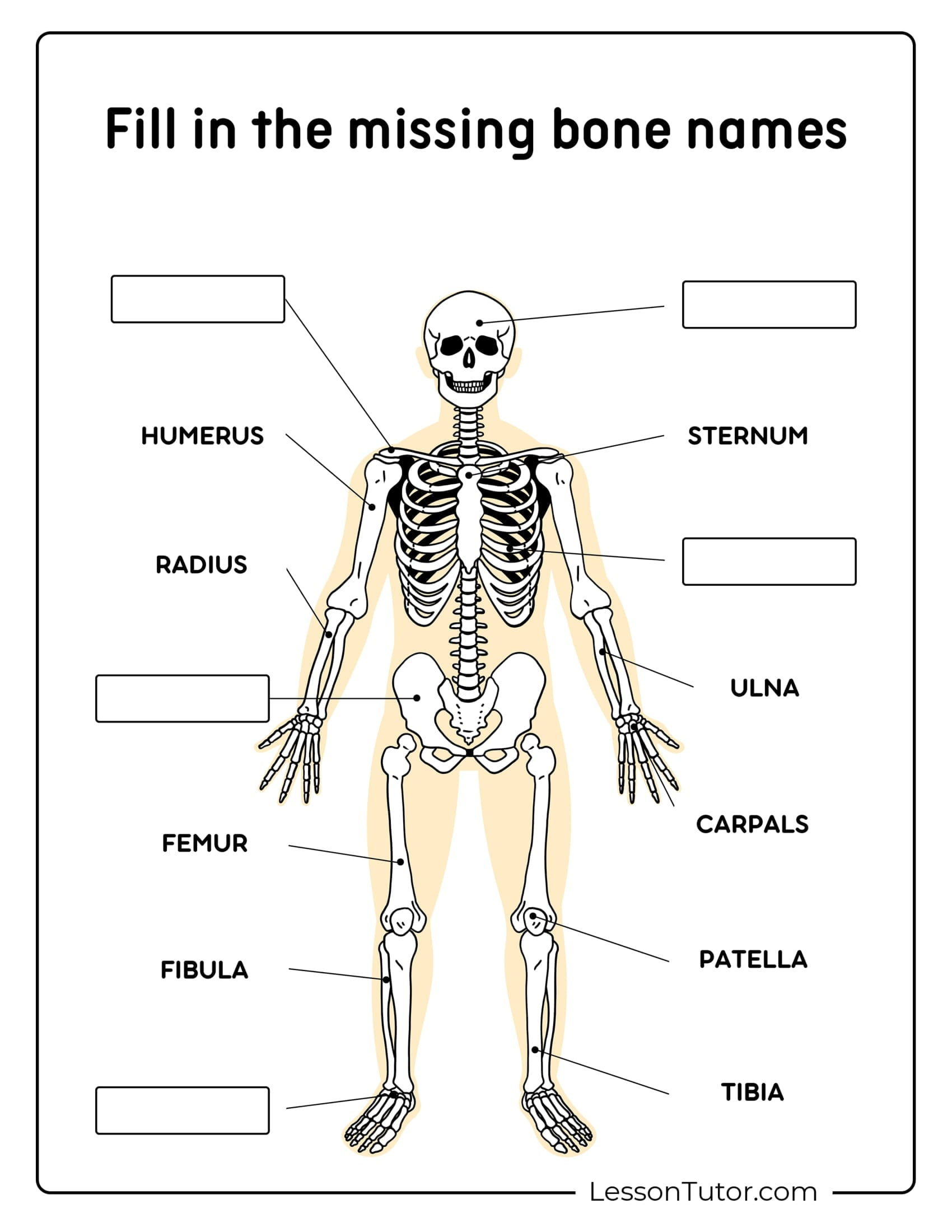 Skeleton System Worksheets - Free Coloring Pages, Pdf Printables intended for Free Printable Skeletal System Worksheets