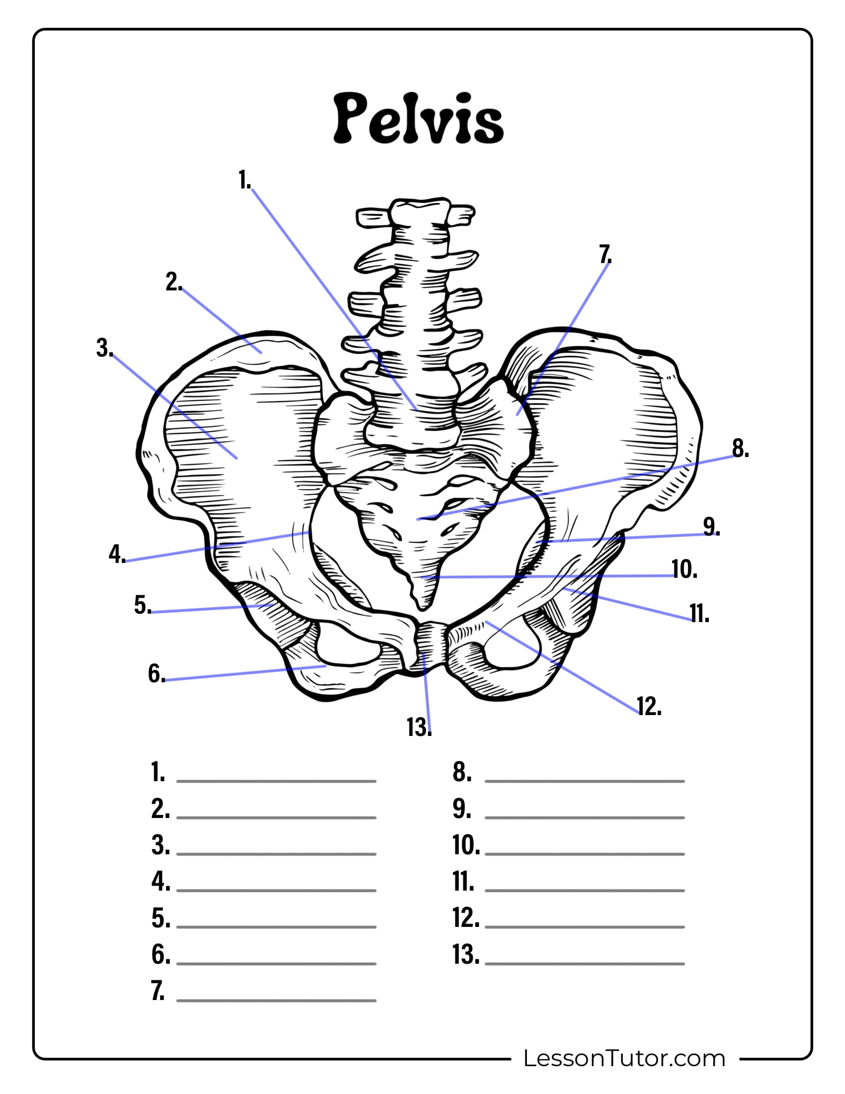 Skeleton System Worksheets - Free Coloring Pages, Pdf Printables regarding Free Printable Skeletal System Worksheets
