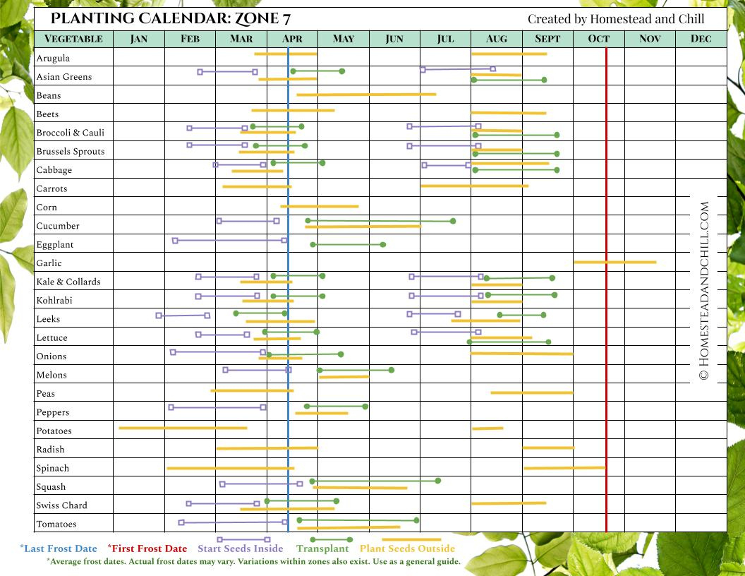 When To Start Seeds Indoors: Planting Calendars For Every Zone throughout Printable Zone 7 Planting Schedule