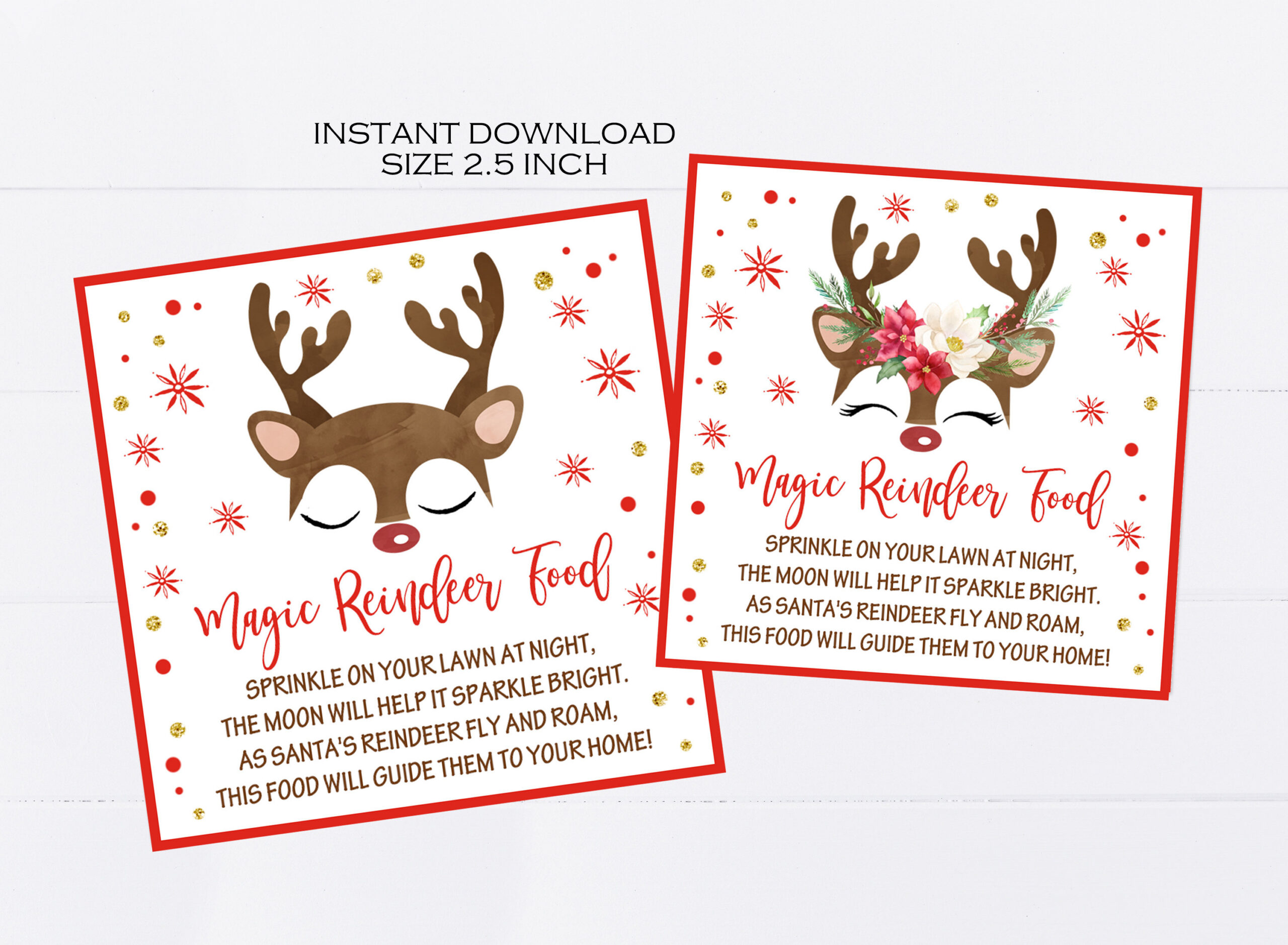 Magic Reindeer Food Tags Printable, Christmas Party Favors for Reindeer Food Tag Printable