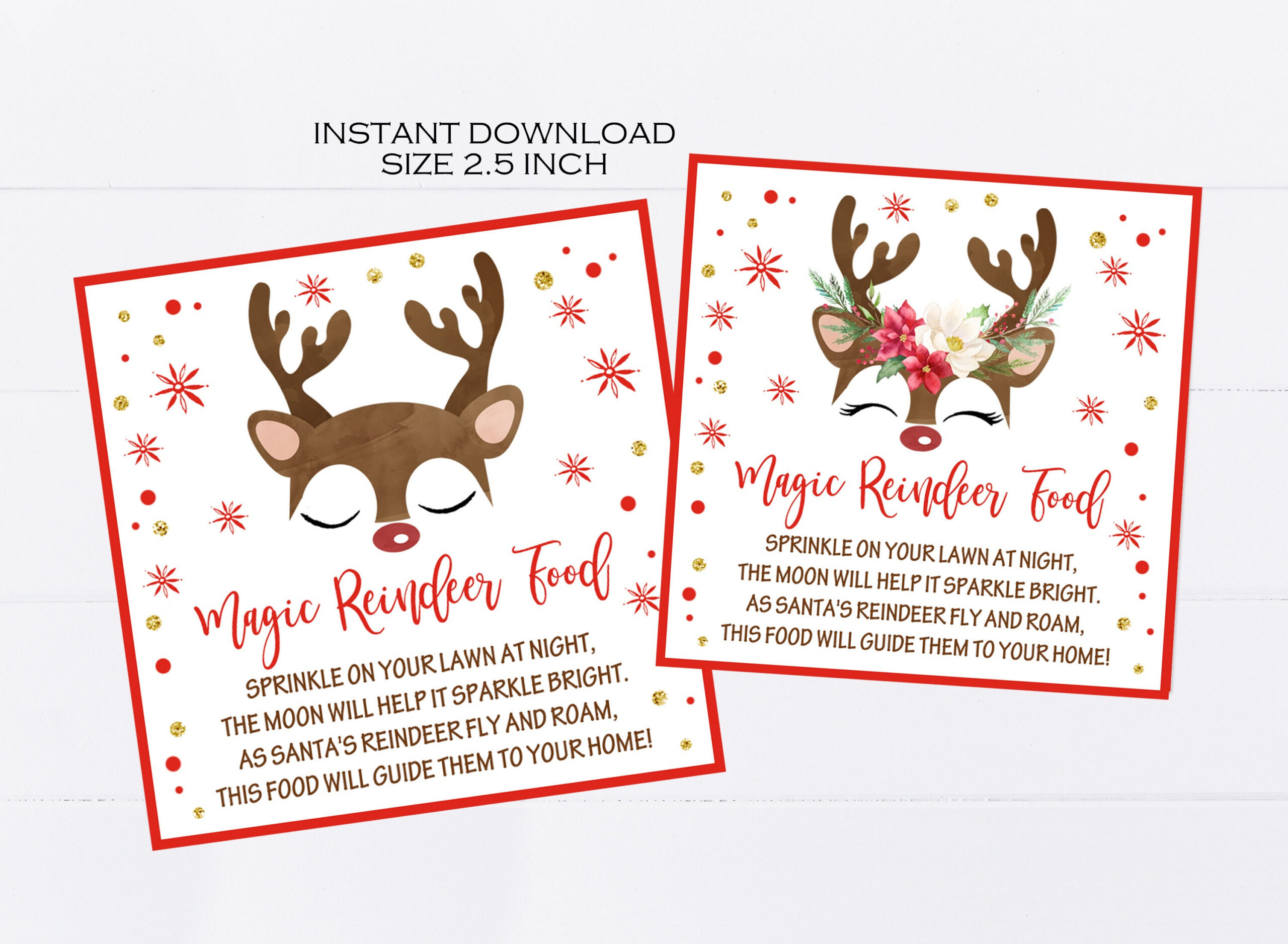 Magic Reindeer Food Tags Printable, Christmas Party Favors with Reindeer Food Printable Labels