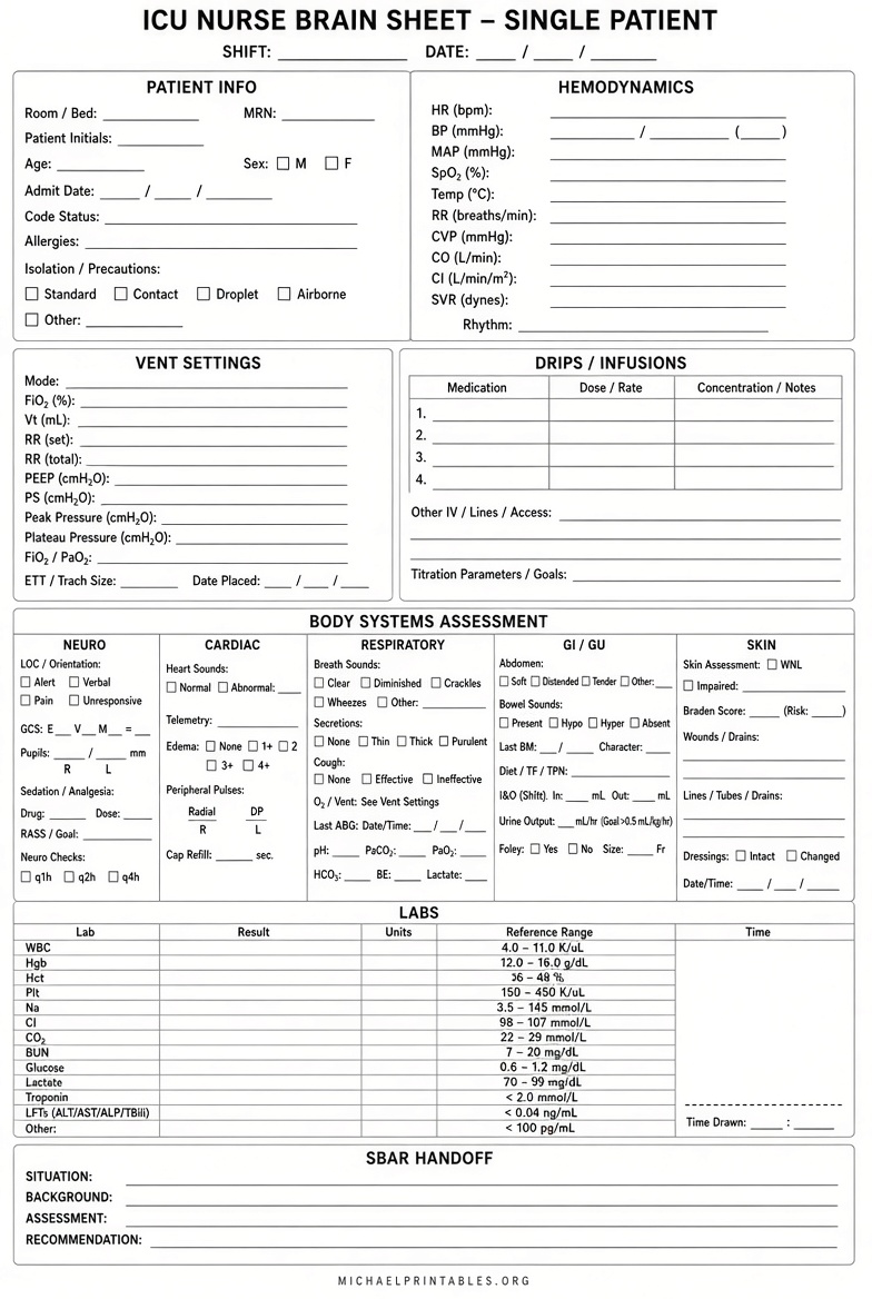 Free Printable Nurse Brain Sheets Guide